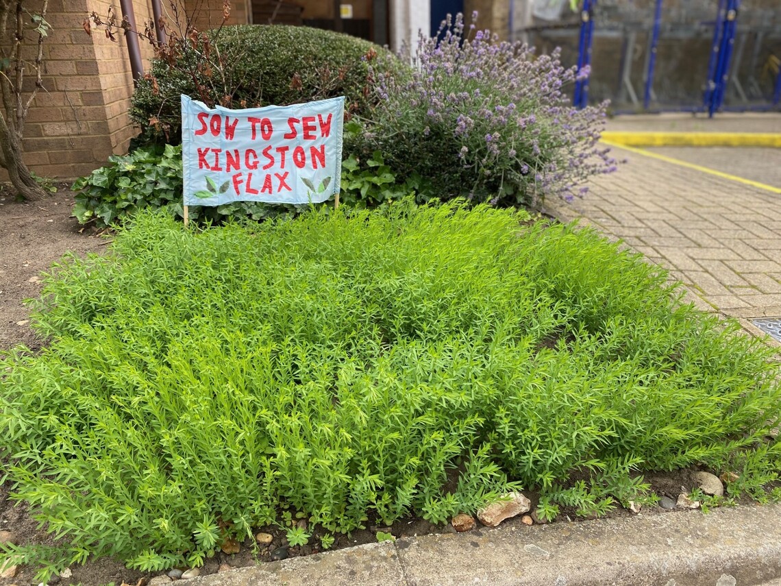 Flax plot at Stanley Picker Gallery